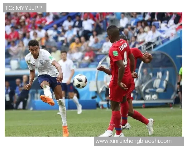 独家分析：深圳极限运动队的实力对比