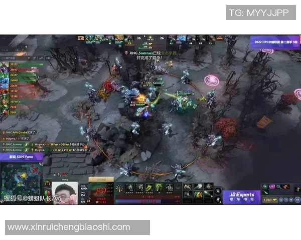 DOTA2纪实：记录RNG的逆袭之旅
