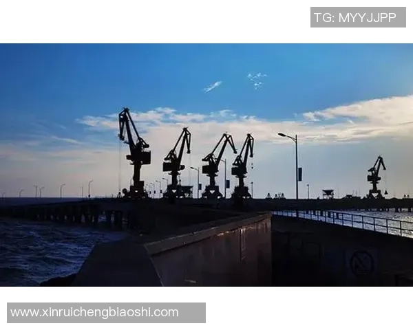 全球挑战赛特别报道：LNG的转型之路